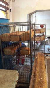Le pain de mie cuit de la boulangerie