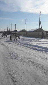 La route en hiver